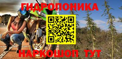 СК Гагарин