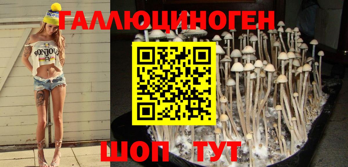Галлюциногенные грибы Psilocybine cubensis Кириши