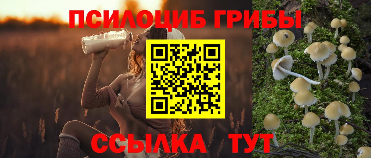 Псилоцибиновые грибы Magic Shrooms  купить наркоту  Кириши  Вход с VPN 